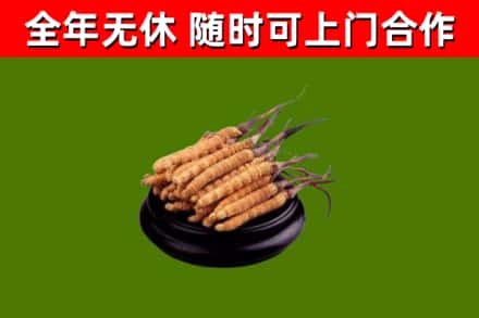 昌都烟酒回收冬虫夏草.jpg
